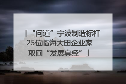 “问道”宁波制造标杆 25位临海大田企业家取回“发展真经”