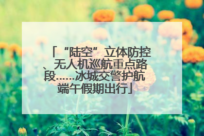 “陆空”立体防控、无人机巡航重点路段……冰城交警护航端午假期出行