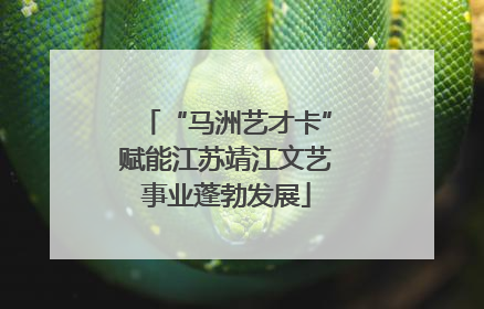 “马洲艺才卡”赋能江苏靖江文艺事业蓬勃发展