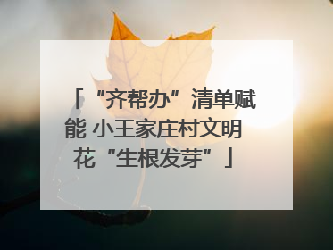 “齐帮办”清单赋能 小王家庄村文明花“生根发芽”