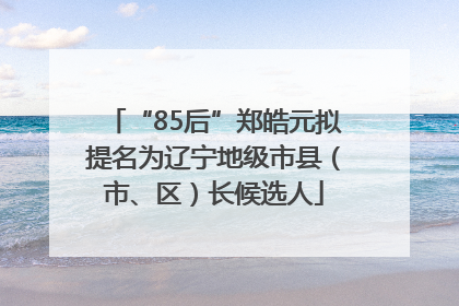 “85后”郑皓元拟提名为辽宁地级市县（市、区）长候选人