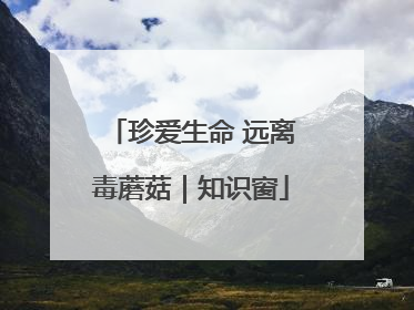 珍爱生命 远离毒蘑菇｜知识窗