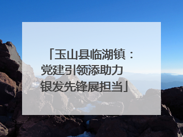 玉山县临湖镇：党建引领添助力 银发先锋展担当