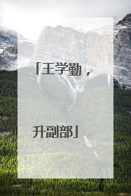 王学勤，升副部