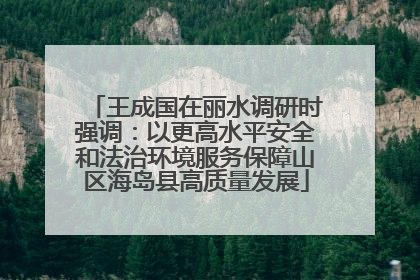 王成国在丽水调研时强调：以更高水平安全和法治环境服务保障山区海岛县高质量发展