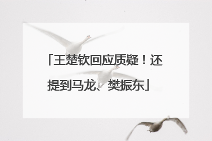 王楚钦回应质疑！还提到马龙、樊振东