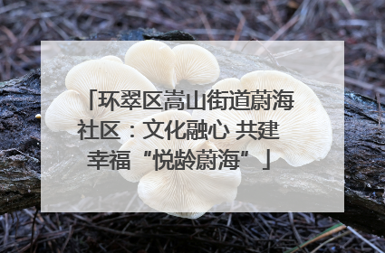 环翠区嵩山街道蔚海社区：文化融心 共建幸福“悦龄蔚海”
