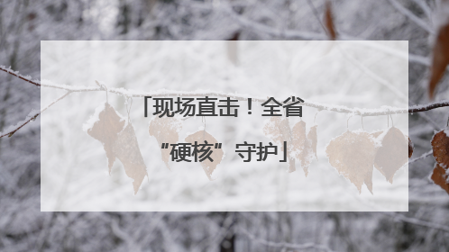 现场直击！全省“硬核”守护