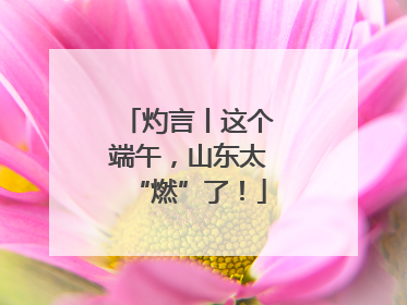 灼言丨这个端午，山东太“燃”了！