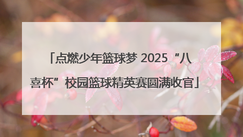 点燃少年篮球梦 2025“八喜杯”校园篮球精英赛圆满收官