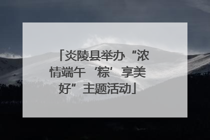 炎陵县举办“浓情端午‘粽’享美好”主题活动