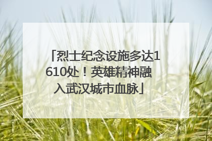 烈士纪念设施多达1610处！英雄精神融入武汉城市血脉