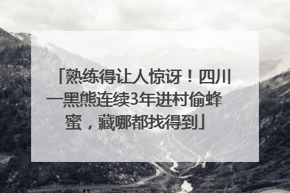 熟练得让人惊讶！四川一黑熊连续3年进村偷蜂蜜，藏哪都找得到