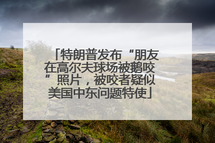 特朗普发布“朋友在高尔夫球场被鹅咬”照片，被咬者疑似美国中东问题特使