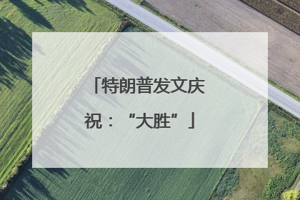 特朗普发文庆祝：“大胜”