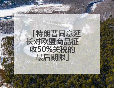 特朗普同意延长对欧盟商品征收50%关税的最后期限