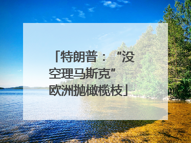 特朗普：“没空理马斯克” 欧洲抛橄榄枝