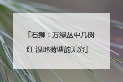 石狮：万绿丛中几树红 湿地荷塘韵无穷