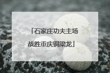 石家庄功夫主场战胜重庆铜梁龙