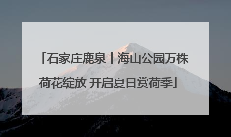 石家庄鹿泉丨海山公园万株荷花绽放 开启夏日赏荷季