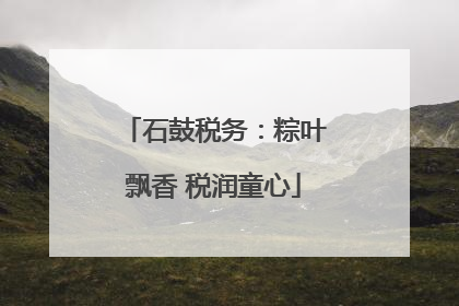 石鼓税务：粽叶飘香 税润童心