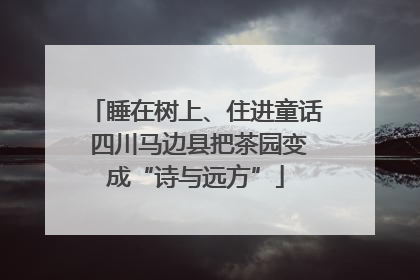 睡在树上、住进童话 四川马边县把茶园变成“诗与远方”