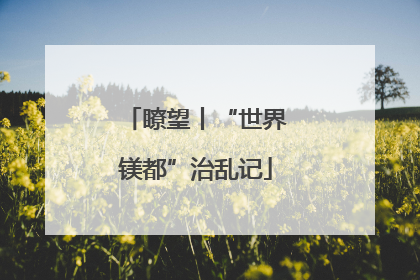 瞭望丨“世界镁都”治乱记