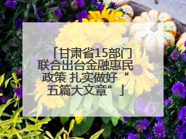 甘肃省15部门联合出台金融惠民政策 扎实做好“五篇大文章”