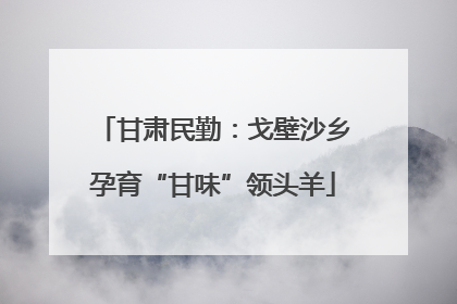 甘肃民勤：戈壁沙乡孕育“甘味”领头羊