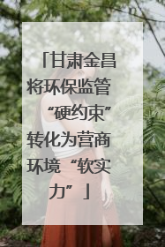 甘肃金昌将环保监管“硬约束”转化为营商环境“软实力”