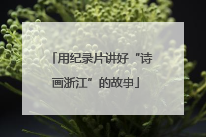 用纪录片讲好“诗画浙江”的故事