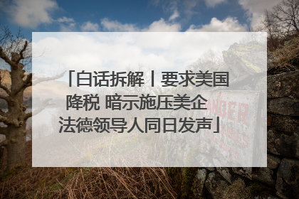 白话拆解丨要求美国降税 暗示施压美企 法德领导人同日发声