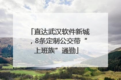 直达武汉软件新城，8条定制公交带“上班族”通勤