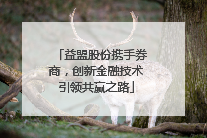 益盟股份携手券商，创新金融技术引领共赢之路