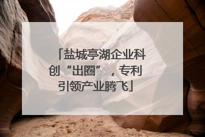 盐城亭湖企业科创“出圈”，专利引领产业腾飞