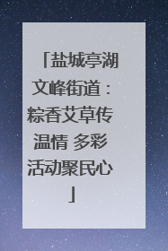 盐城亭湖文峰街道：粽香艾草传温情 多彩活动聚民心