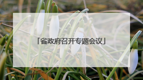 省政府召开专题会议