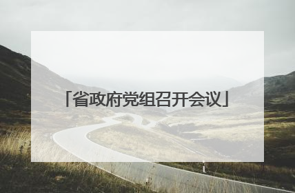 省政府党组召开会议