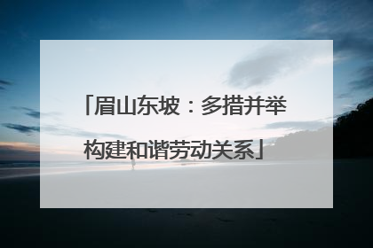 眉山东坡：多措并举构建和谐劳动关系