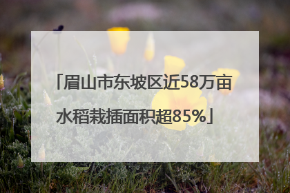 眉山市东坡区近58万亩水稻栽插面积超85%
