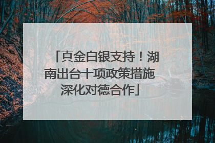 真金白银支持!湖南出台十项政策措施深化对德合作