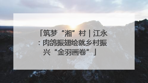 筑梦“湘”村｜江永：肉鸽振翅绘就乡村振兴“金羽画卷”