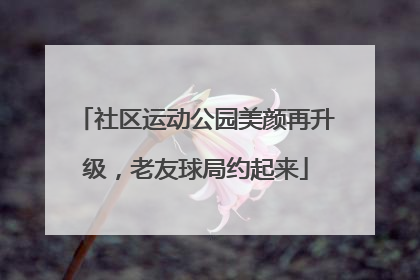 社区运动公园美颜再升级，老友球局约起来
