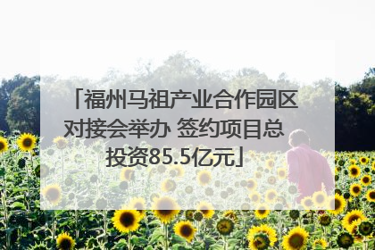 福州马祖产业合作园区对接会举办 签约项目总投资85.5亿元