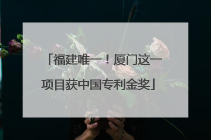 福建唯一！厦门这一项目获中国专利金奖