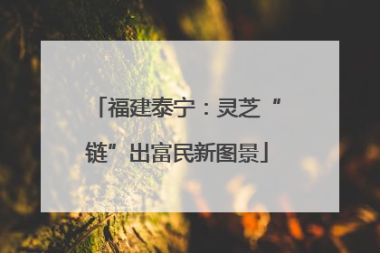 福建泰宁：灵芝“链”出富民新图景