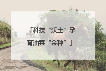 科技“沃土”孕育油菜“金种”