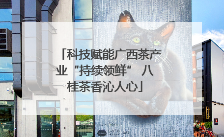 科技赋能广西茶产业“持续领鲜” 八桂茶香沁人心