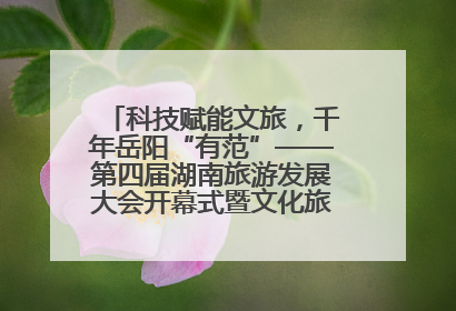 科技赋能文旅，千年岳阳“有范”——第四届湖南旅游发展大会开幕式暨文化旅游推介会侧记
