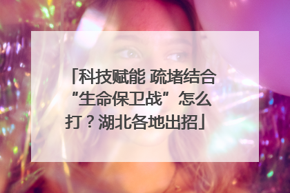 科技赋能 疏堵结合 “生命保卫战”怎么打？湖北各地出招